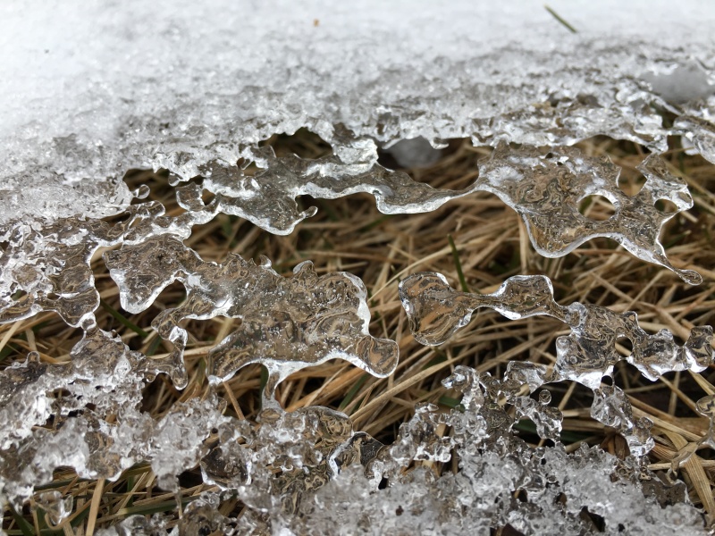Layer of ice over brown grass