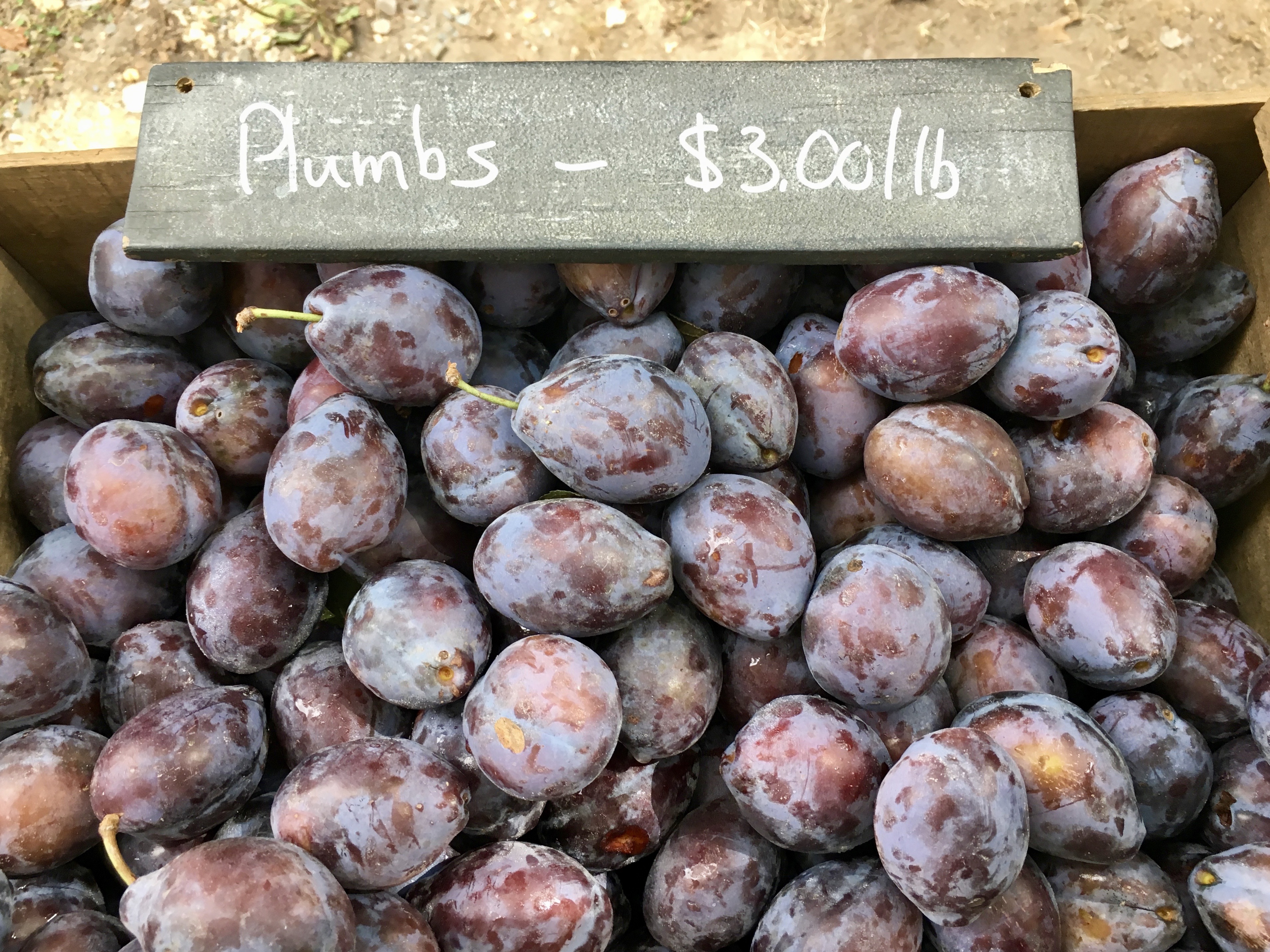 Farmstand sign: reads Plumbs - $3.00/lb